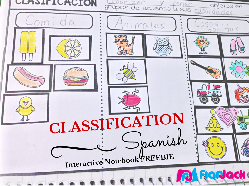 Classification SPANISH Interactive Notebook FREEBIE